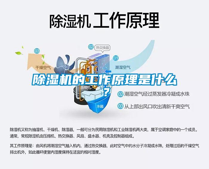 除濕機的工作原理是什么？