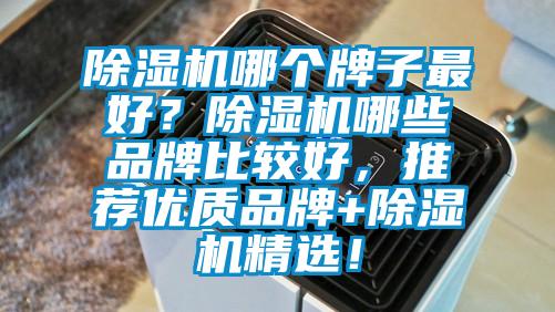 除濕機哪個牌子最好？除濕機哪些品牌比較好，推薦優(yōu)質(zhì)品牌+除濕機精選！
