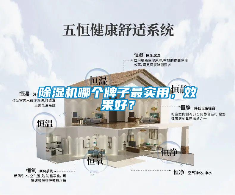 除濕機(jī)哪個(gè)牌子最實(shí)用，效果好？
