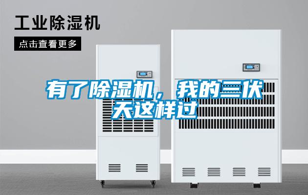 有了除濕機(jī)，我的三伏天這樣過