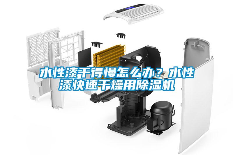 水性漆干得慢怎么辦？水性漆快速干燥用除濕機