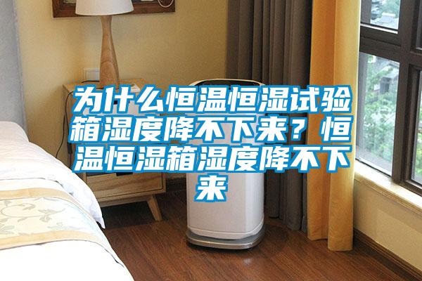 為什么恒溫恒濕試驗箱濕度降不下來？恒溫恒濕箱濕度降不下來