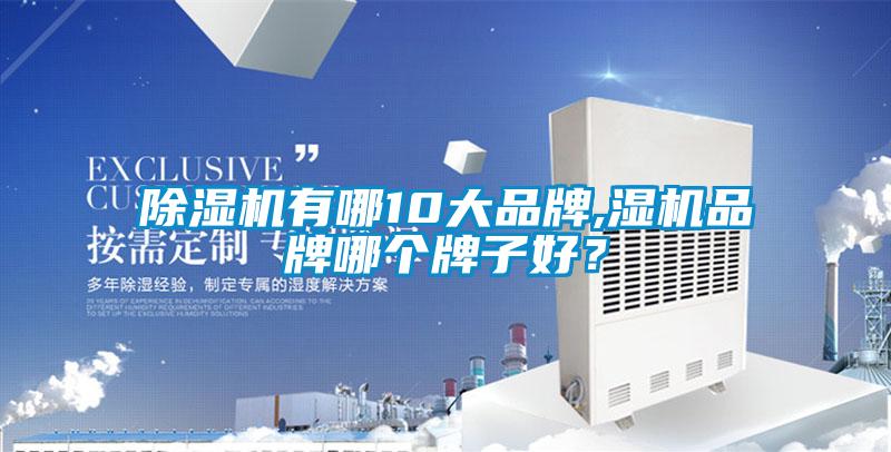 除濕機(jī)有哪10大品牌,濕機(jī)品牌哪個(gè)牌子好？