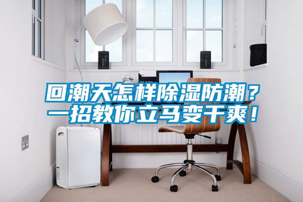 回潮天怎樣除濕防潮？一招教你立馬變干爽！