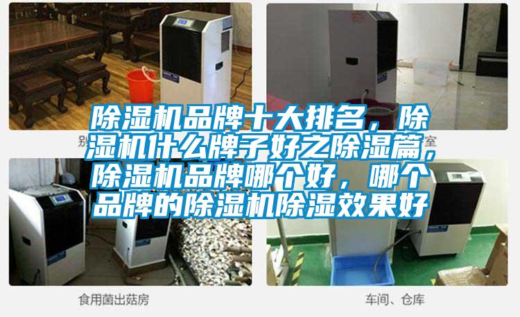 除濕機品牌十大排名，除濕機什么牌子好之除濕篇，除濕機品牌哪個好，哪個品牌的除濕機除濕效果好