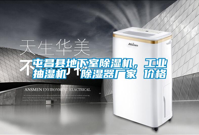屯昌縣地下室除濕機(jī)，工業(yè)抽濕機(jī)  除濕器廠家 價(jià)格