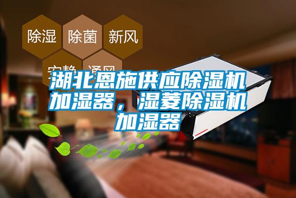 湖北恩施供應(yīng)除濕機(jī)加濕器，濕菱除濕機(jī)加濕器