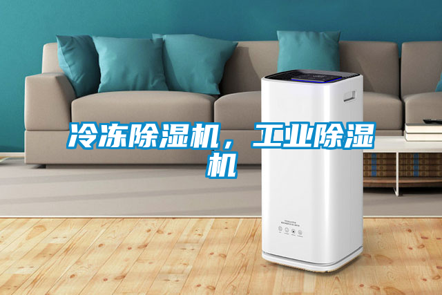 冷凍除濕機(jī)，工業(yè)除濕機(jī)