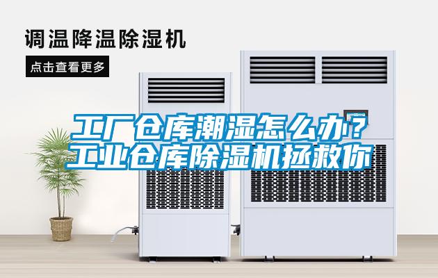 工廠倉庫潮濕怎么辦？工業(yè)倉庫除濕機拯救你