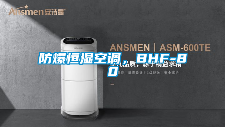 防爆恒濕空調(diào)，BHF-80