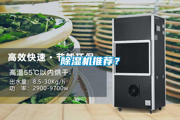 除濕機推薦？