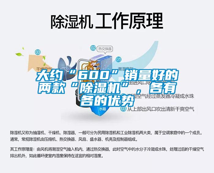 大約“600”銷量好的兩款“除濕機(jī)”，各有各的優(yōu)勢(shì)