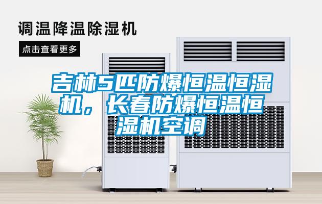 吉林5匹防爆恒溫恒濕機(jī)，長春防爆恒溫恒濕機(jī)空調(diào)
