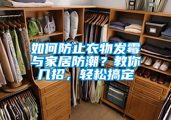 如何防止衣物發(fā)霉與家居防潮？教你幾招，輕松搞定