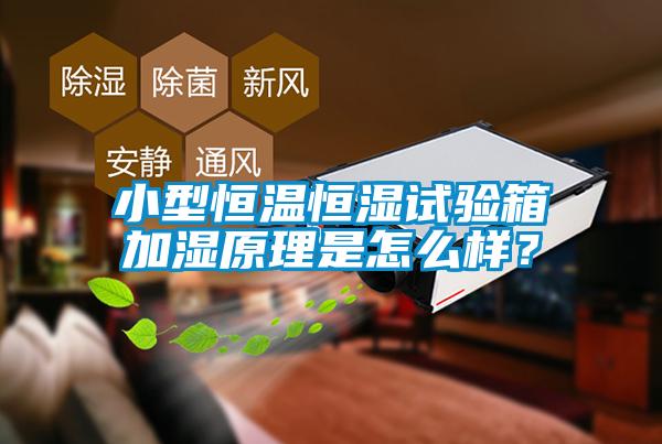 小型恒溫恒濕試驗(yàn)箱加濕原理是怎么樣？
