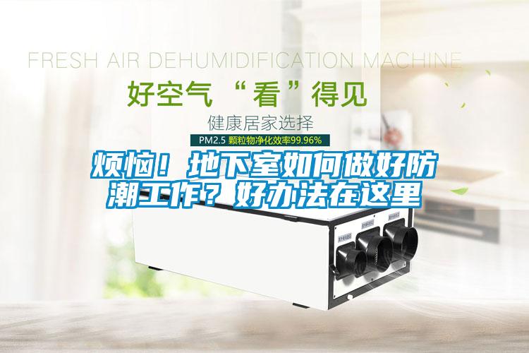 煩惱！地下室如何做好防潮工作？好辦法在這里