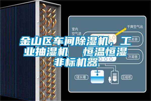 金山區(qū)車間除濕機(jī)，工業(yè)抽濕機(jī)  恒溫恒濕非標(biāo)機(jī)器