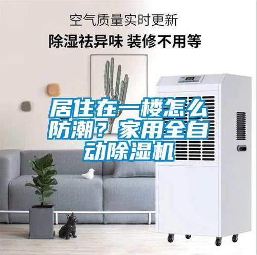居住在一樓怎么防潮？家用全自動除濕機