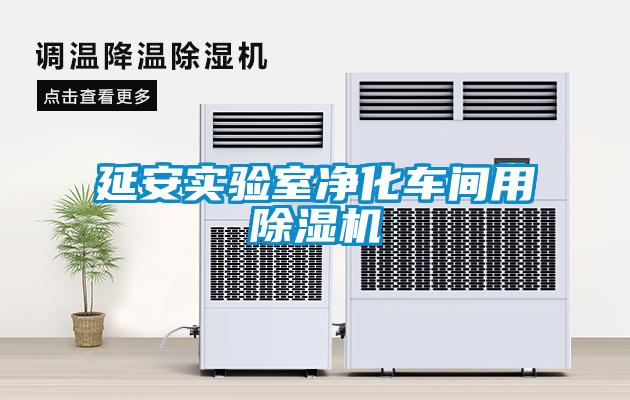 延安實驗室凈化車間用除濕機(jī)