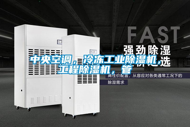 中央空調(diào)，冷凍工業(yè)除濕機(jī)，工程除濕機(jī)，管