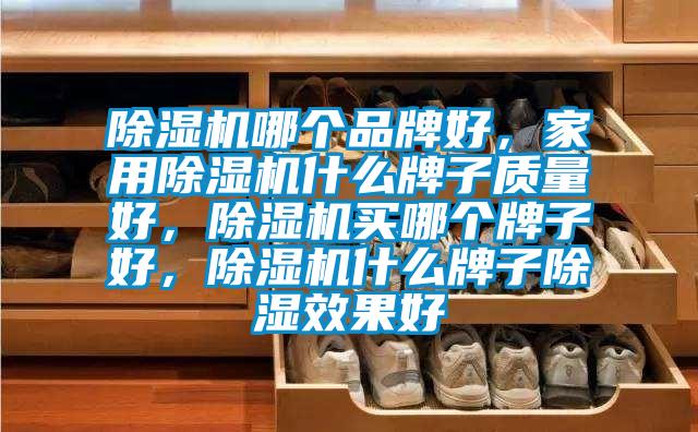 除濕機哪個品牌好，家用除濕機什么牌子質(zhì)量好，除濕機買哪個牌子好，除濕機什么牌子除濕效果好