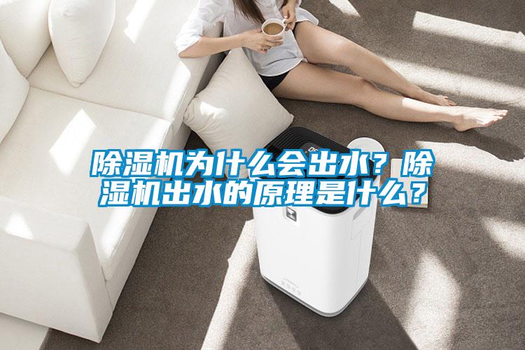 除濕機(jī)為什么會出水？除濕機(jī)出水的原理是什么？