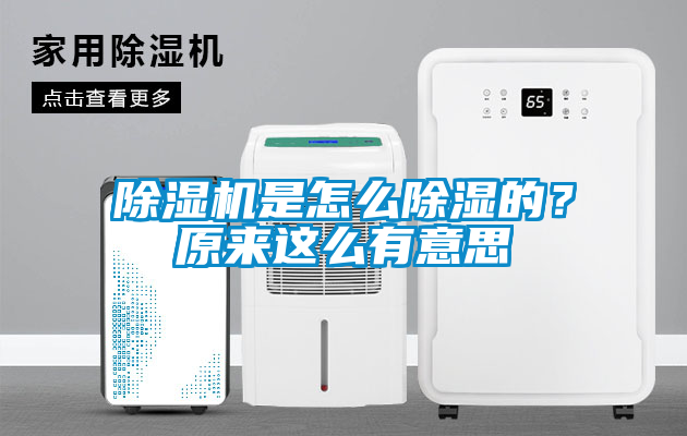 除濕機(jī)是怎么除濕的？原來這么有意思