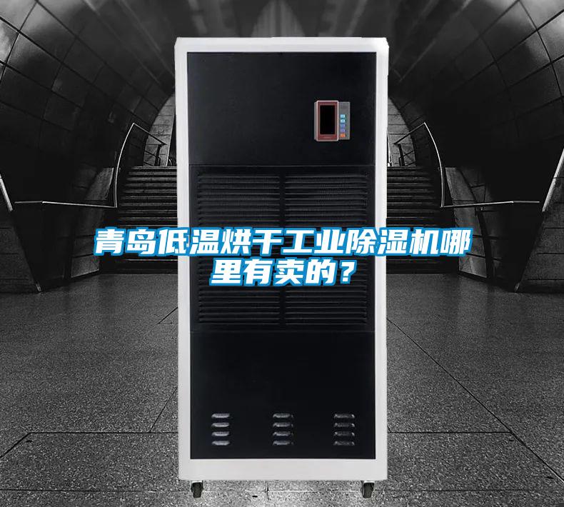 青島低溫烘干工業(yè)除濕機(jī)哪里有賣(mài)的？