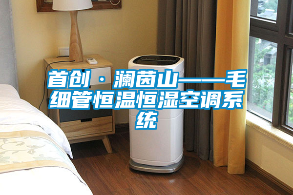 首創(chuàng)·瀾茵山——毛細管恒溫恒濕空調(diào)系統(tǒng)