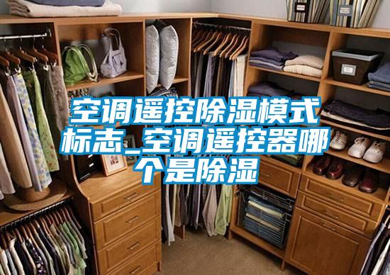 空調(diào)遙控除濕模式標(biāo)志_空調(diào)遙控器哪個是除濕