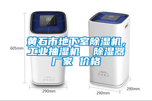 黃石市地下室除濕機(jī)，工業(yè)抽濕機(jī)  除濕器廠家 價(jià)格