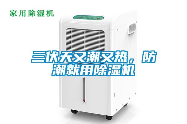 三伏天又潮又熱，防潮就用除濕機