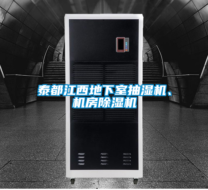 泰都江西地下室抽濕機(jī)、機(jī)房除濕機(jī)