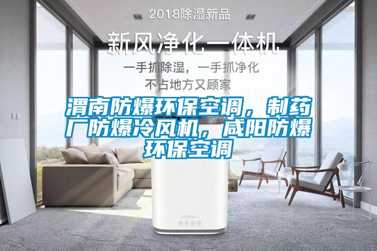 渭南防爆環(huán)?？照{(diào)，制藥廠防爆冷風機，咸陽防爆環(huán)?？照{(diào)