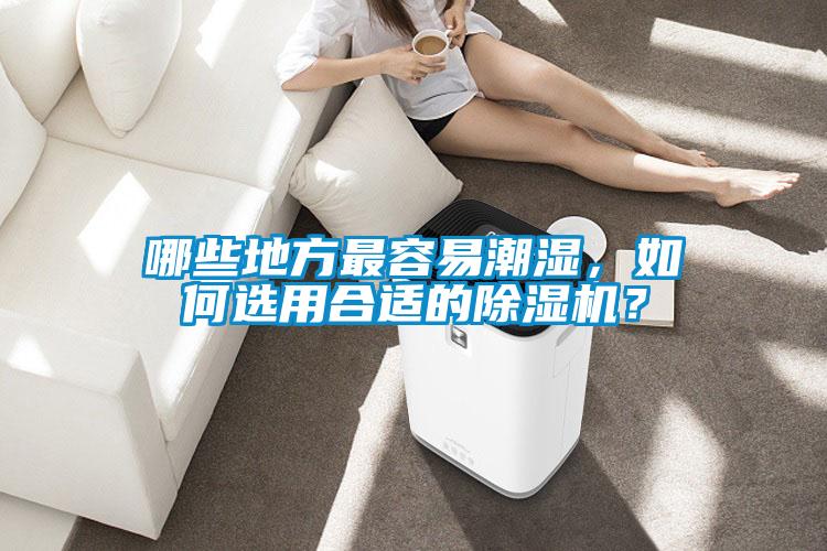 哪些地方最容易潮濕，如何選用合適的除濕機？