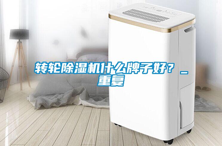 轉(zhuǎn)輪除濕機(jī)什么牌子好？_重復(fù)