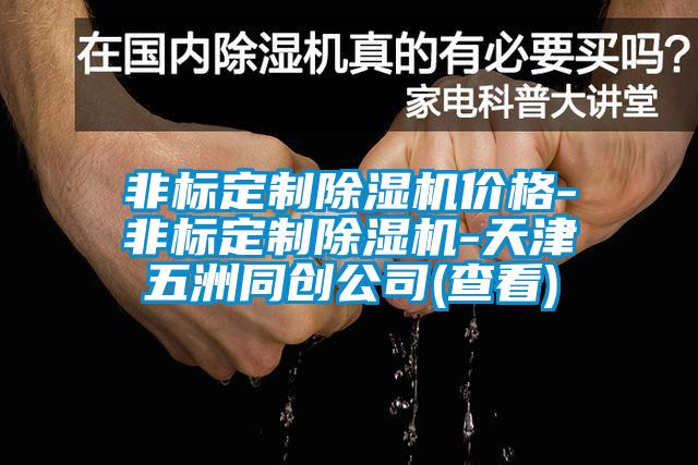 非標(biāo)定制除濕機(jī)價格-非標(biāo)定制除濕機(jī)-天津五洲同創(chuàng)公司(查看)
