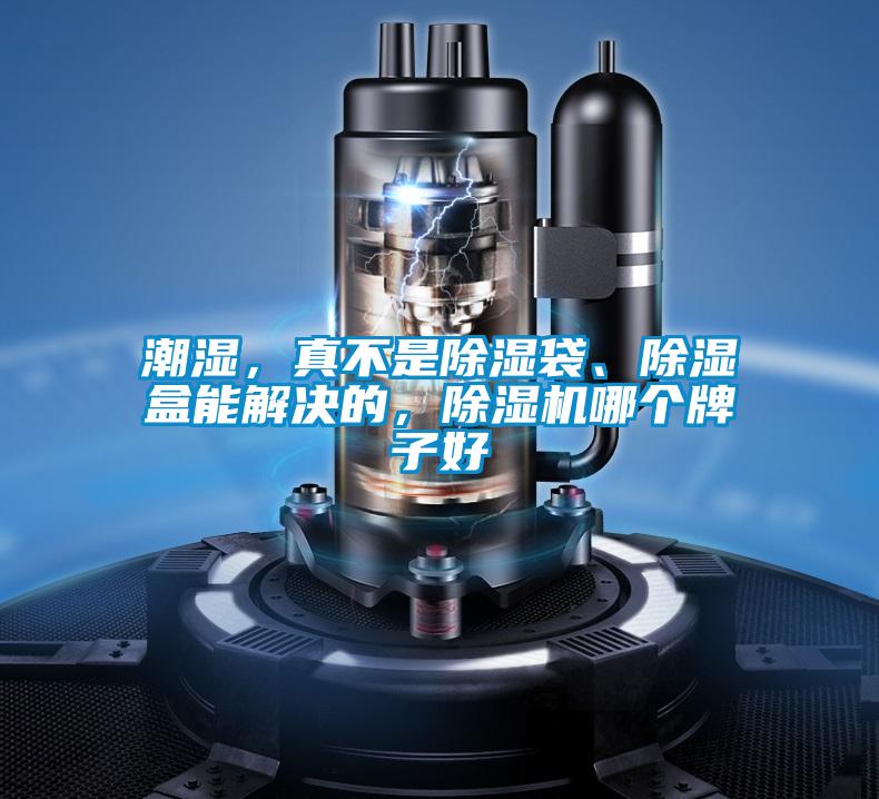 潮濕，真不是除濕袋、除濕盒能解決的，除濕機哪個牌子好