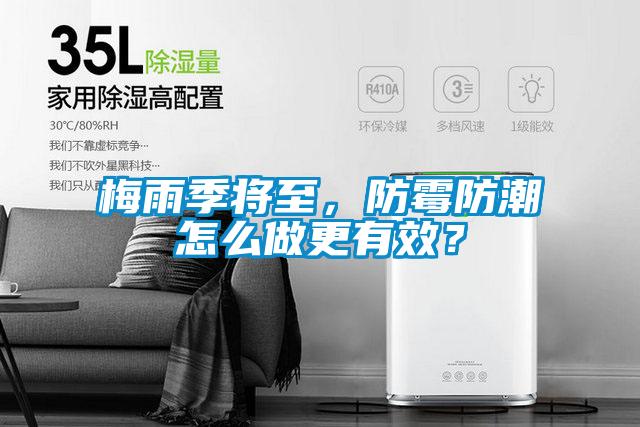 梅雨季將至，防霉防潮怎么做更有效？