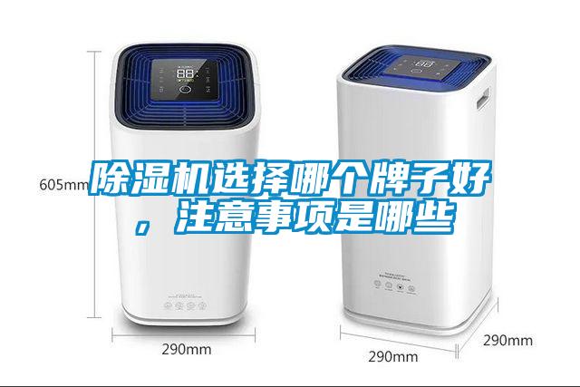 除濕機選擇哪個牌子好，注意事項是哪些