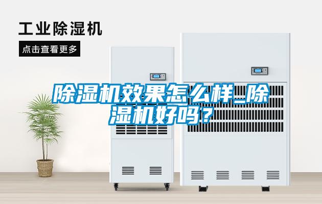 除濕機效果怎么樣_除濕機好嗎？