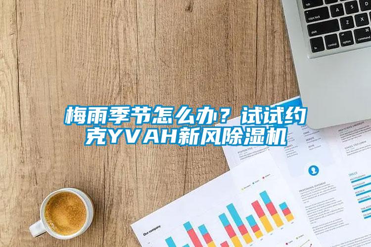 梅雨季節(jié)怎么辦？試試約克YVAH新風除濕機