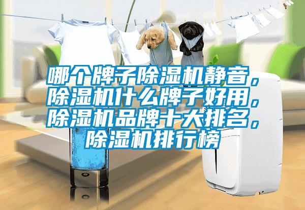 哪個(gè)牌子除濕機(jī)靜音，除濕機(jī)什么牌子好用，除濕機(jī)品牌十大排名，除濕機(jī)排行榜