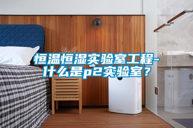 恒溫恒濕實驗室工程-什么是p2實驗室？