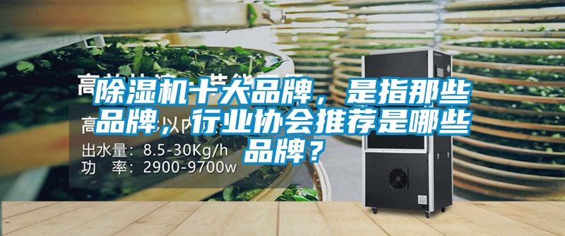 除濕機(jī)十大品牌，是指那些品牌，行業(yè)協(xié)會(huì)推薦是哪些品牌？