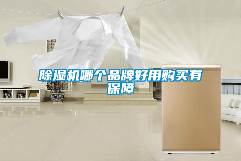 除濕機(jī)哪個(gè)品牌好用購買有保障