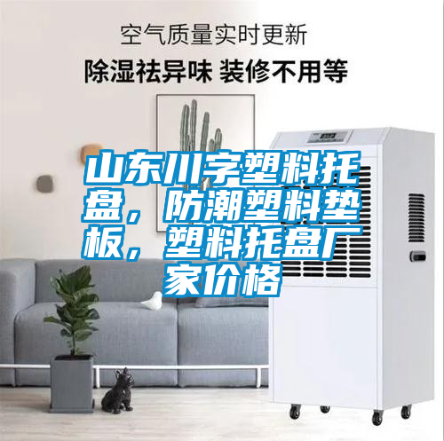 山東川字塑料托盤，防潮塑料墊板，塑料托盤廠家價(jià)格