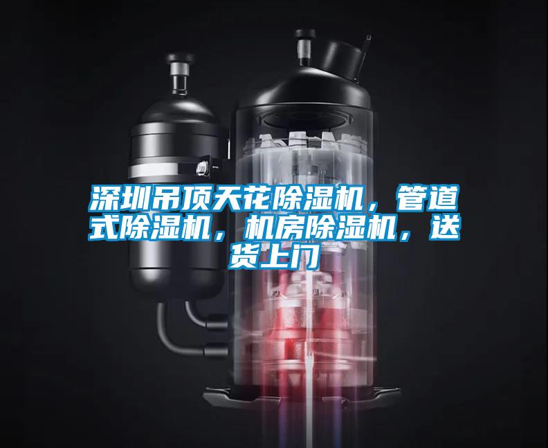 深圳吊頂天花除濕機(jī)，管道式除濕機(jī)，機(jī)房除濕機(jī)，送貨上門