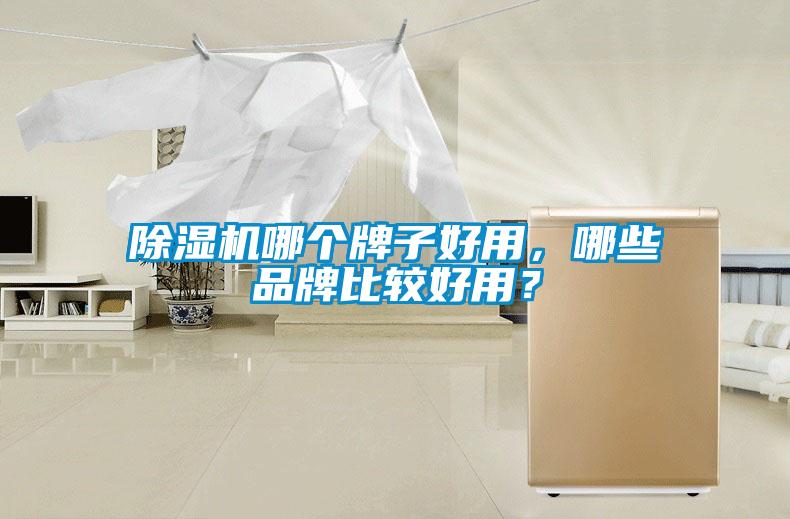除濕機(jī)哪個(gè)牌子好用，哪些品牌比較好用？