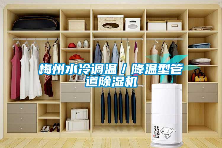 梅州水冷調(diào)溫／降溫型管道除濕機